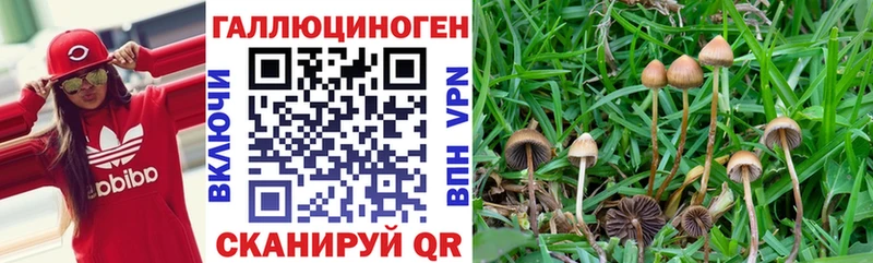 Галлюциногенные грибы Magic Shrooms  наркота  Исилькуль 